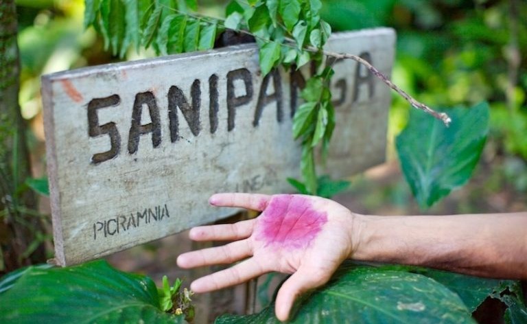 Sanipanga