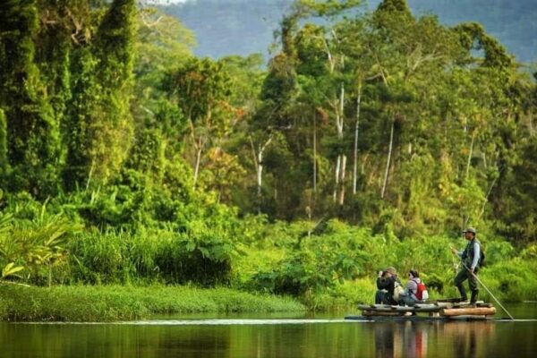 Tambopata National Reserve: Full Guide 2025