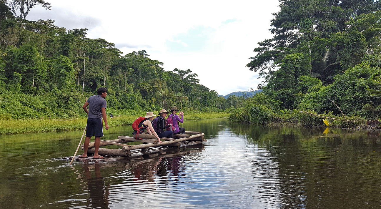 Peruvian Amazon Jungle