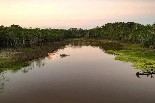 Manu National Park vs Tambopata Jungle