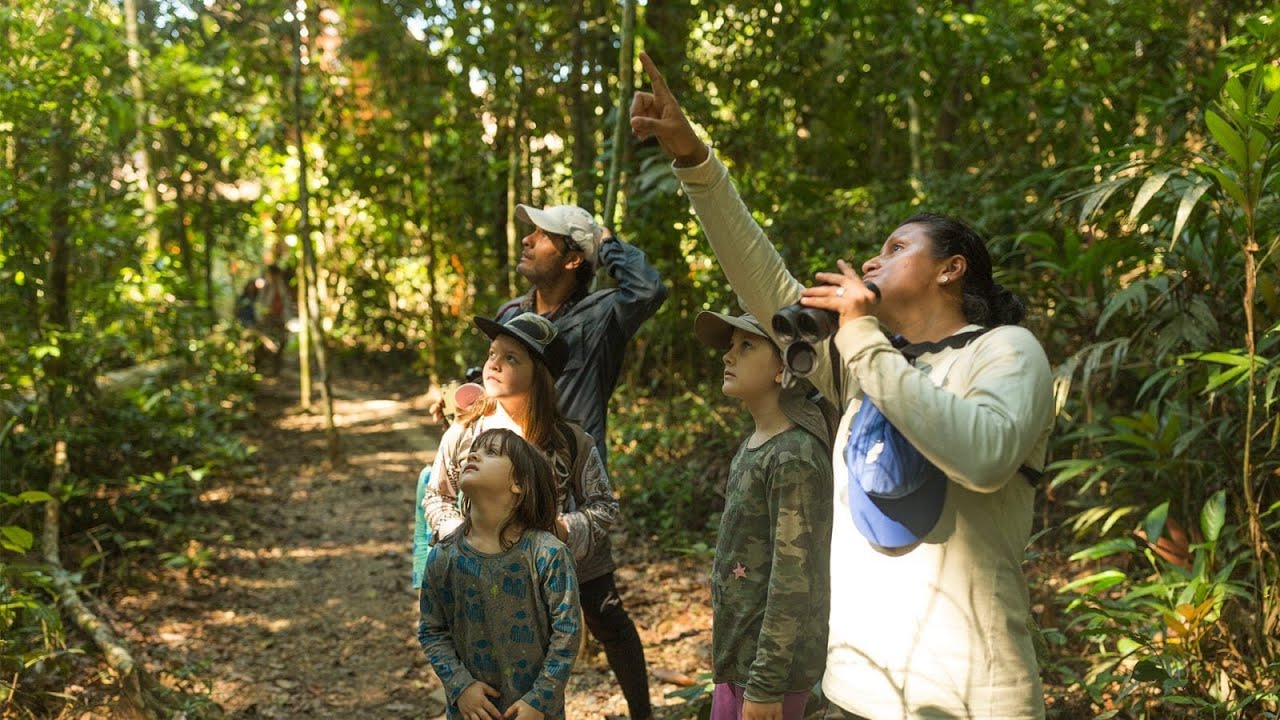 amazon jungle tour