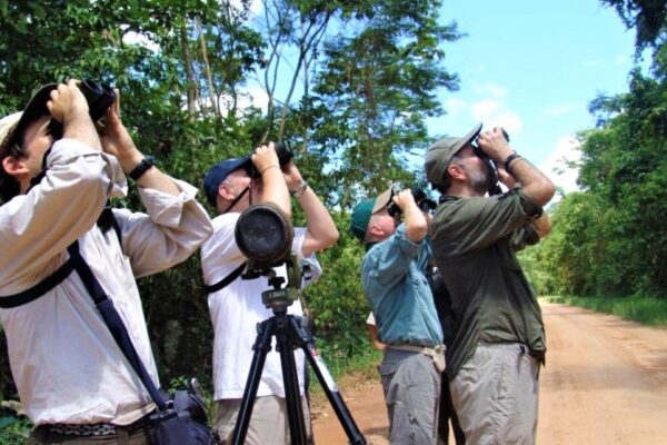Birding in Peru