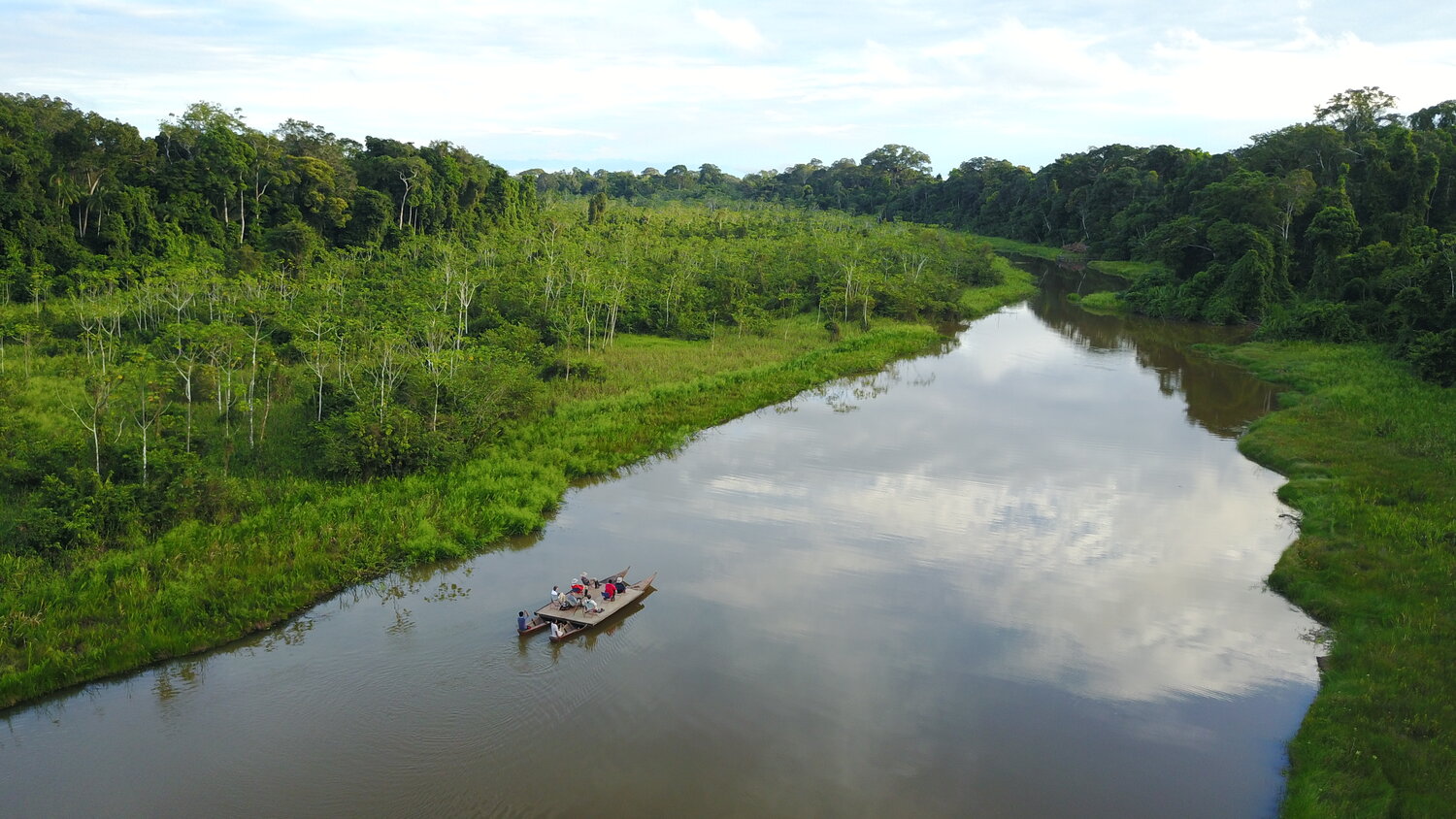 Amazon Rainforest