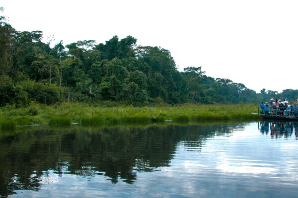 Animals of Manu National Park