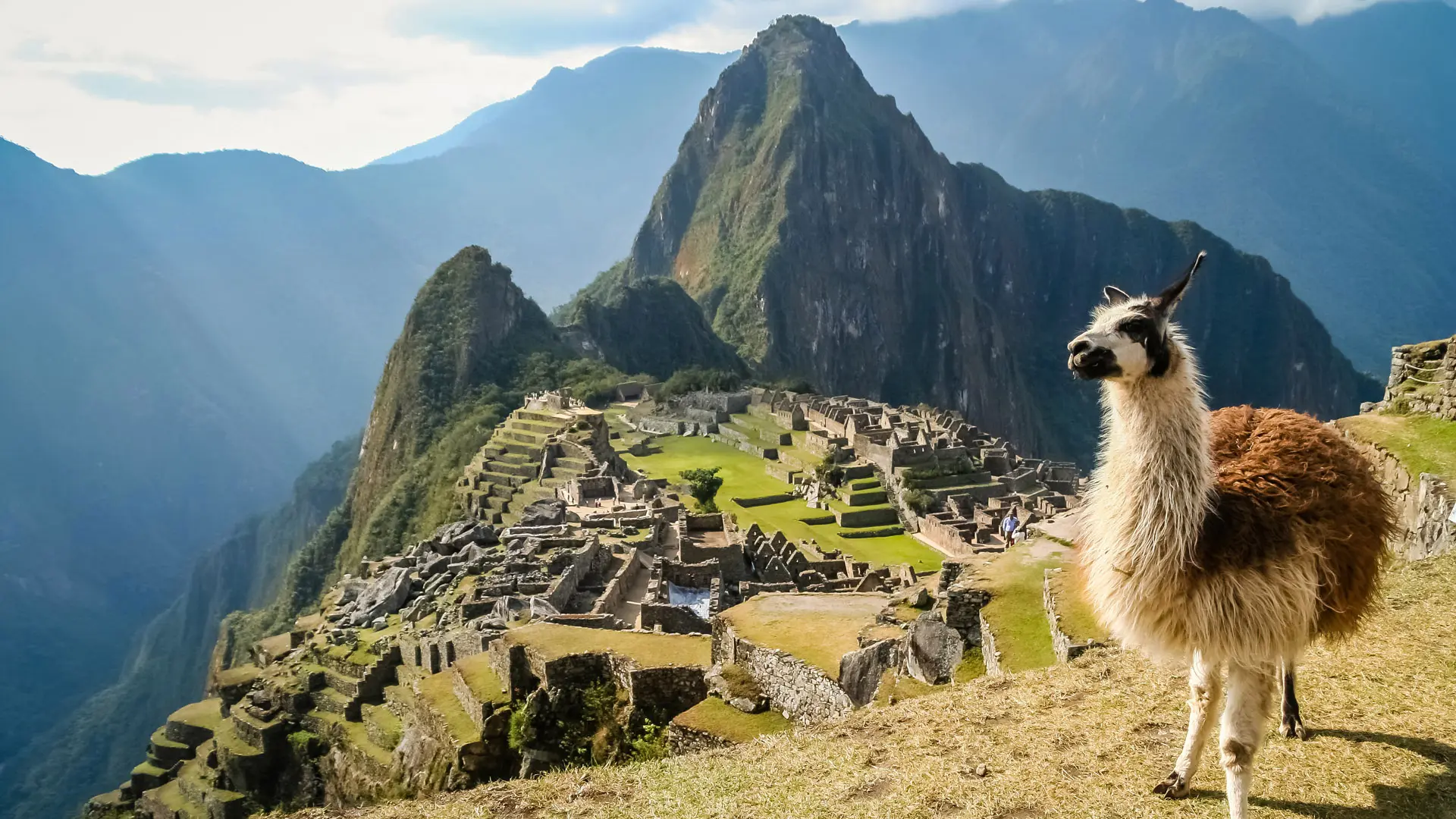 New Year in Machu Picchu