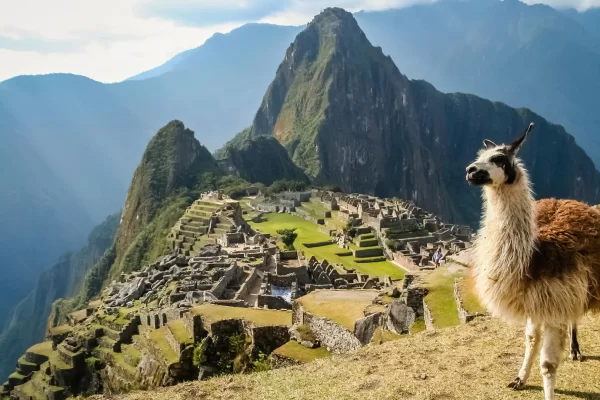 New Year in Machu Picchu