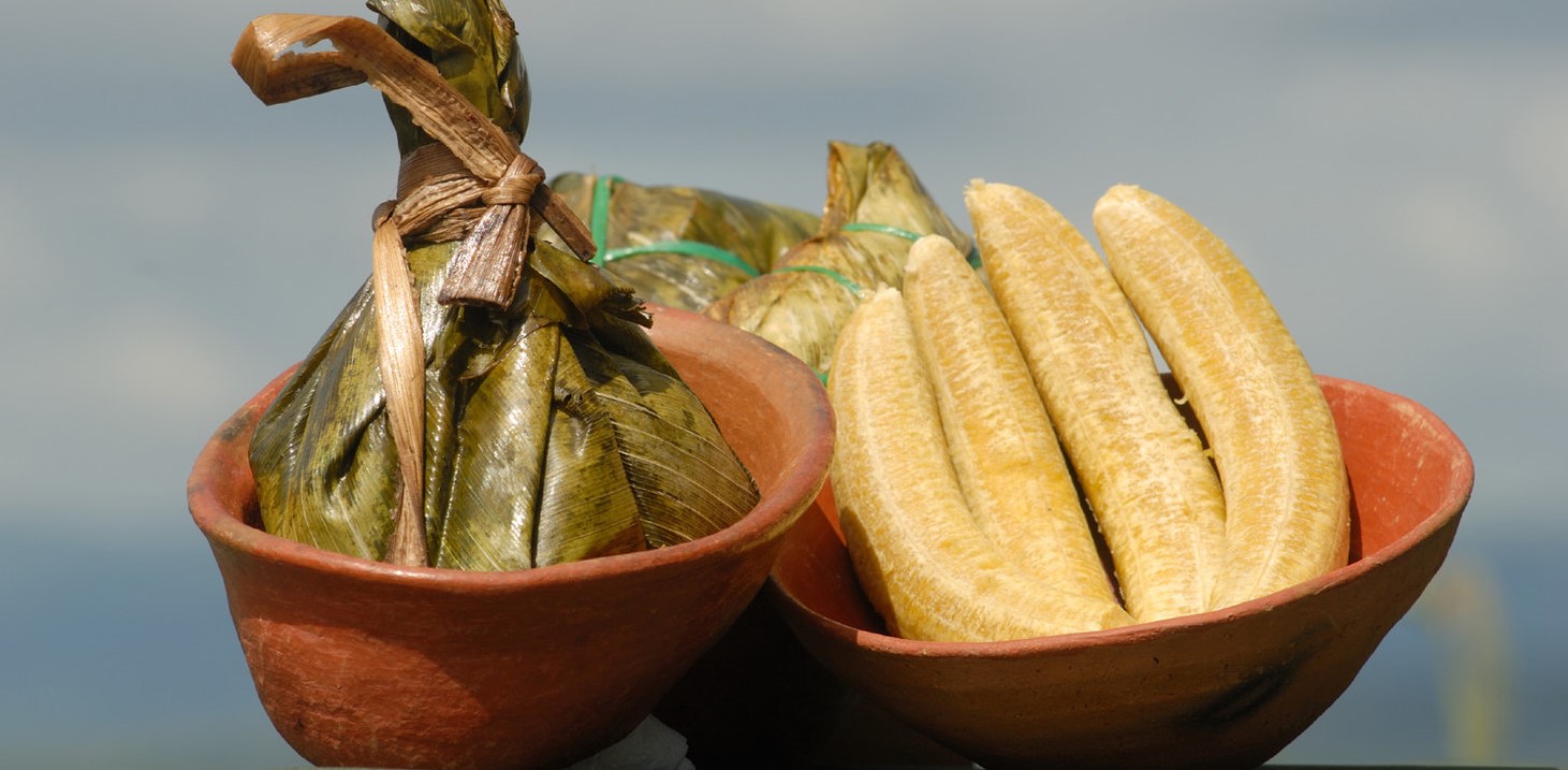 Dining in the Peruvian Amazon