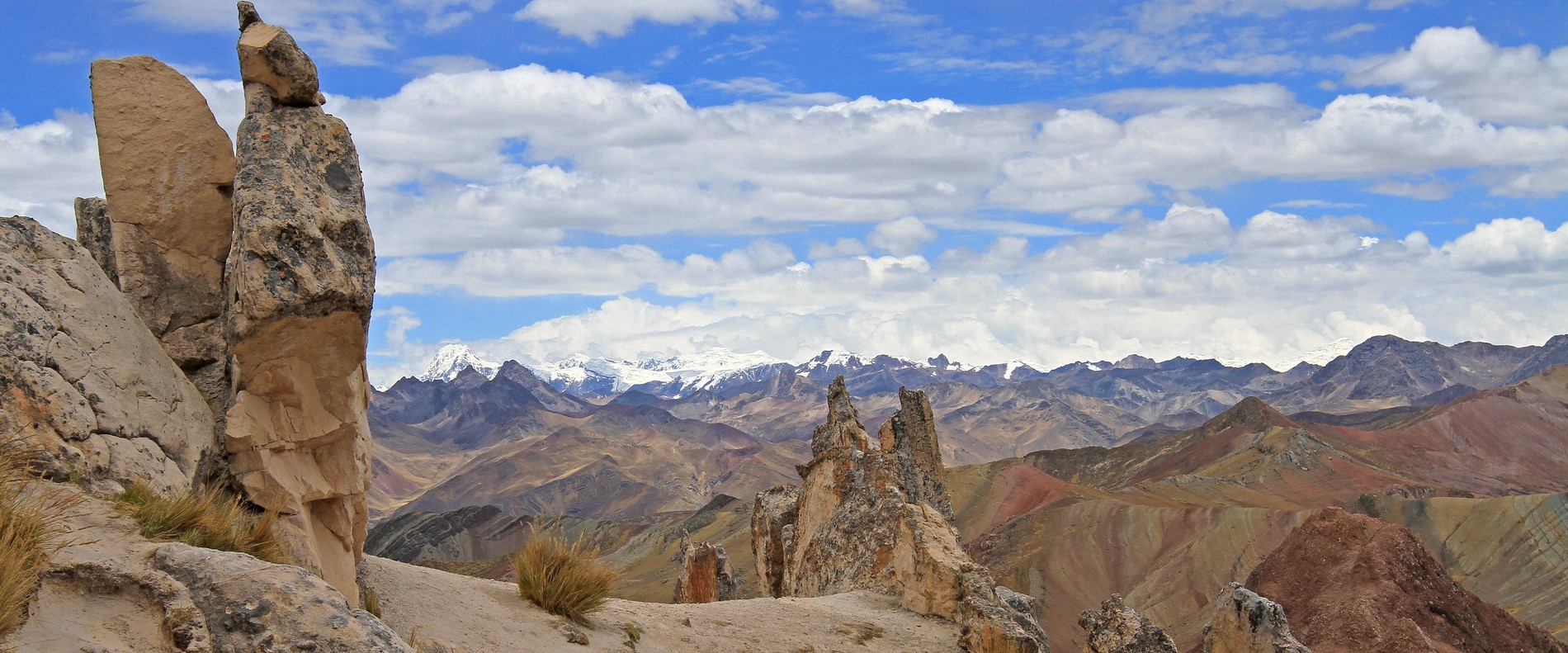 Giant Stone Forests