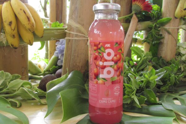 Traditional Peruvian Drinks