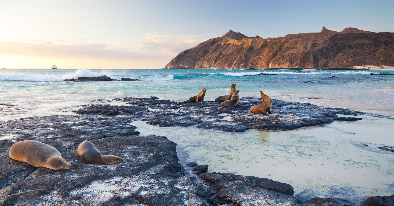 North Seymour Island Galapagos
