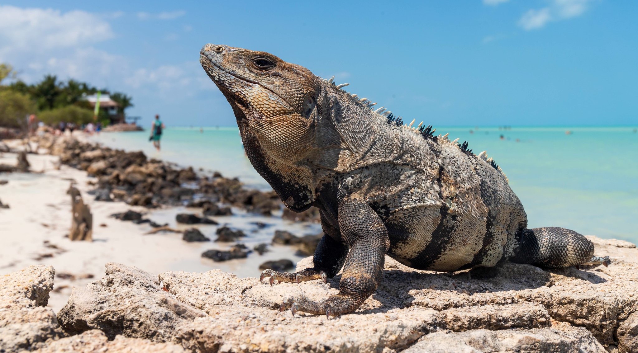 Galápagos Islands