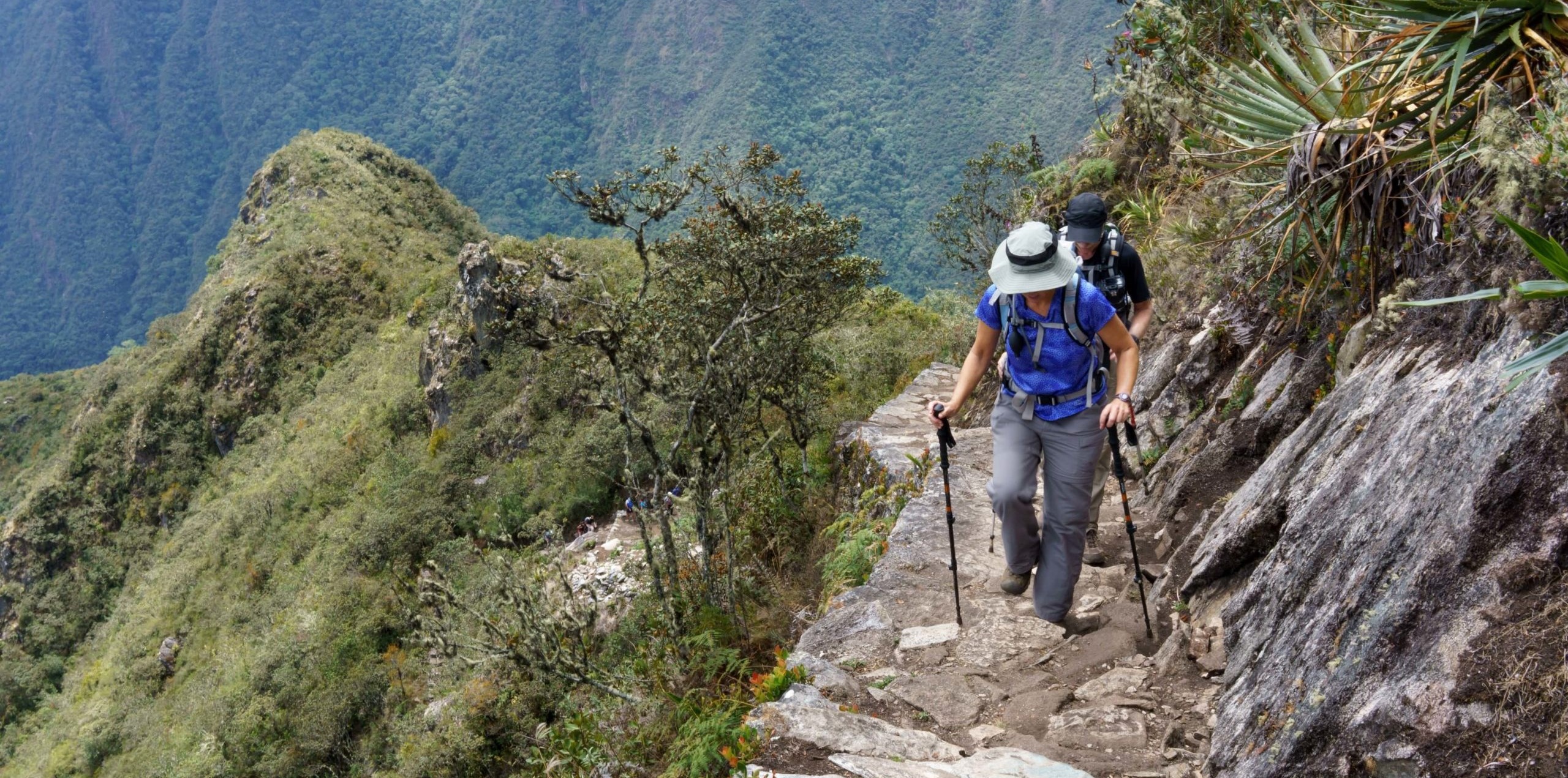 road to Machu Picchu