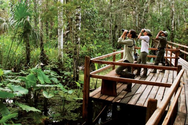 Exploring Ecotourism in the Peruvian Amazon