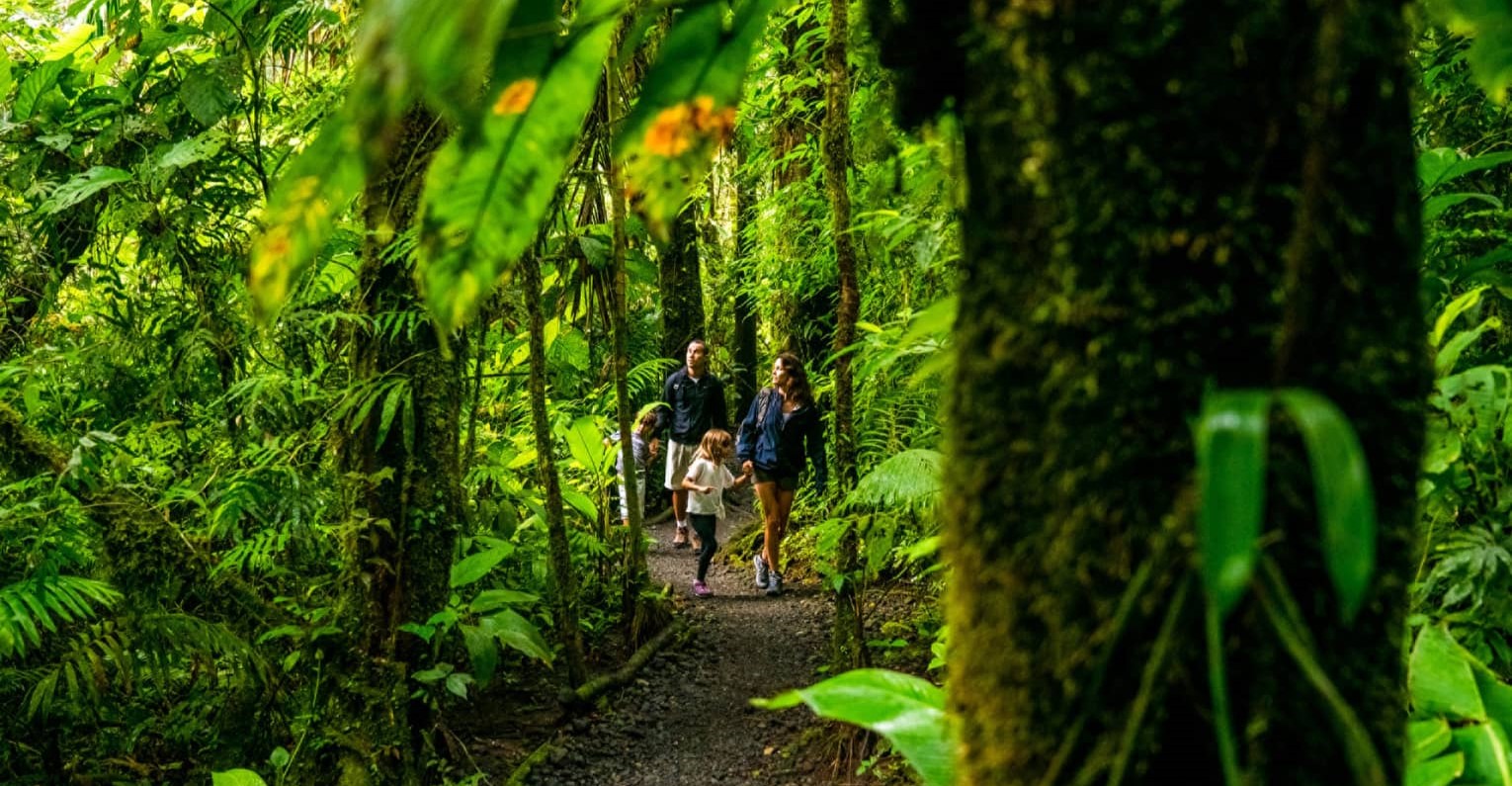 Manu National Park