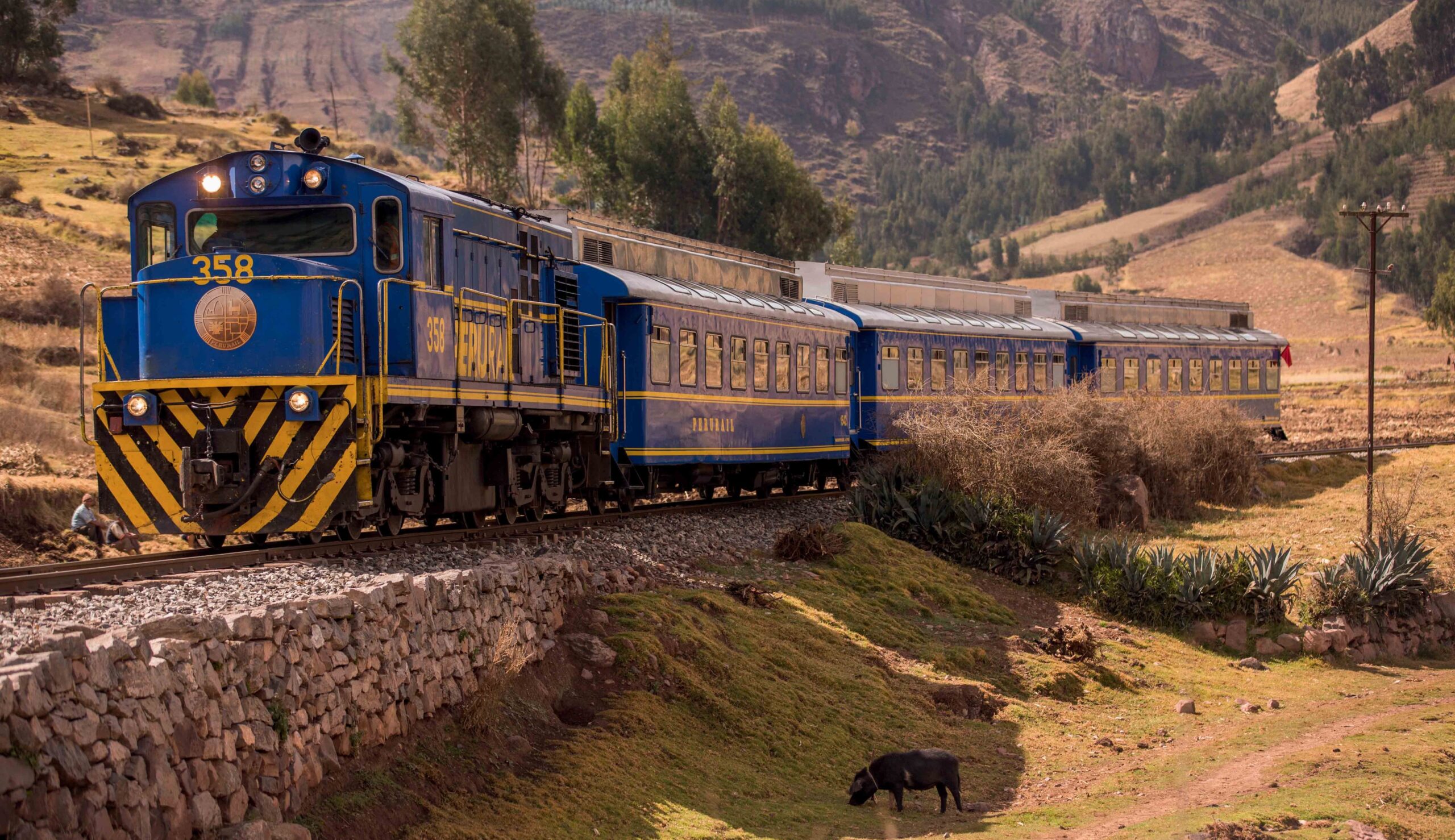 Train to Machu Picchu