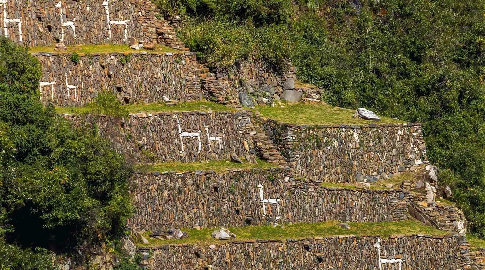 Llama Terrace