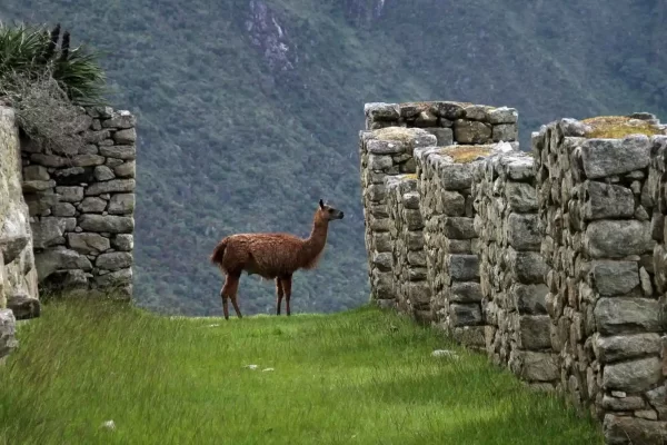 Sacred Valley and Short Inca Trail 3 Days 2 Nights Map