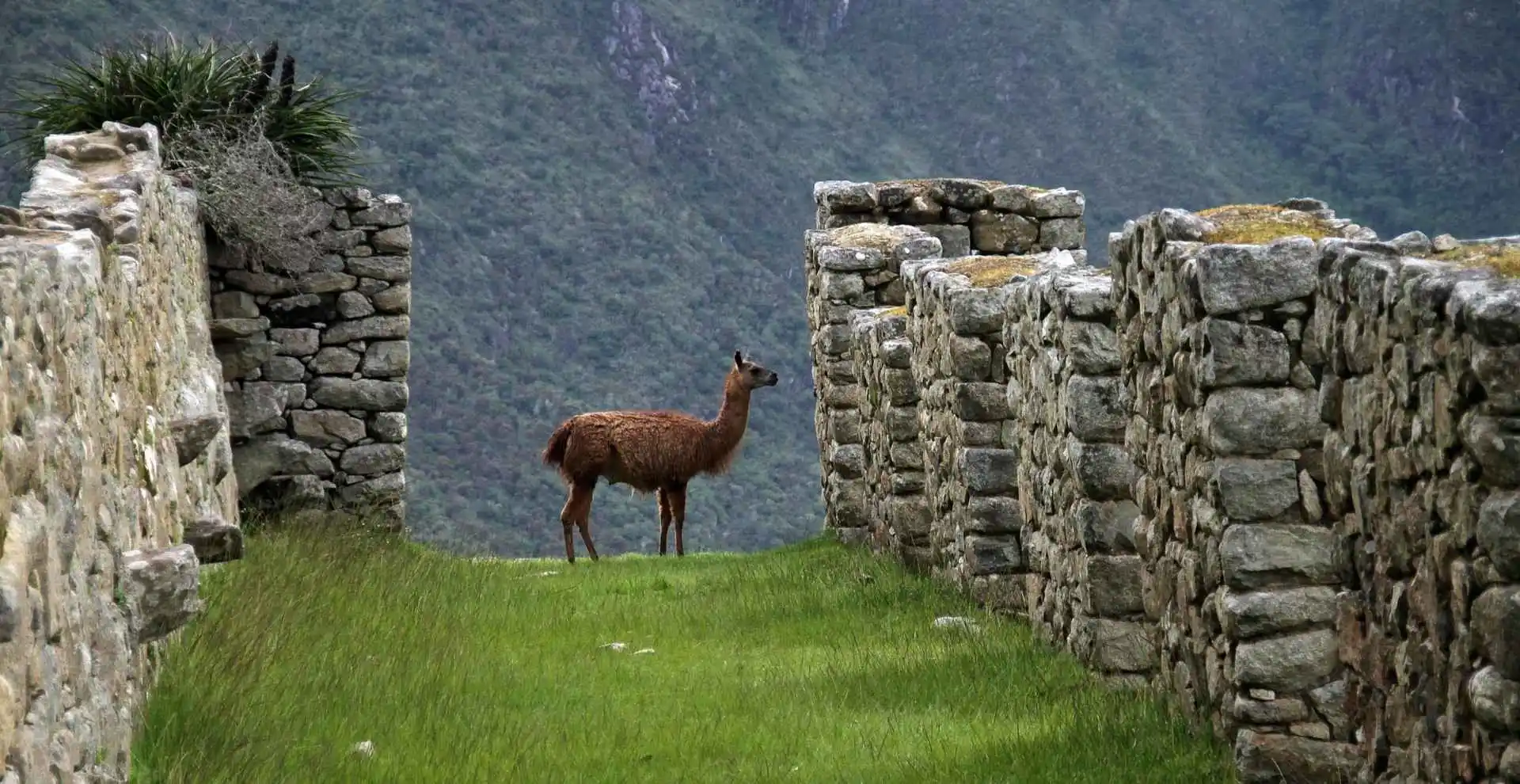 Sacred Valley and Short Inca Trail 3 Days 2 Nights Map showing the complete trekking route to Machu Picchu