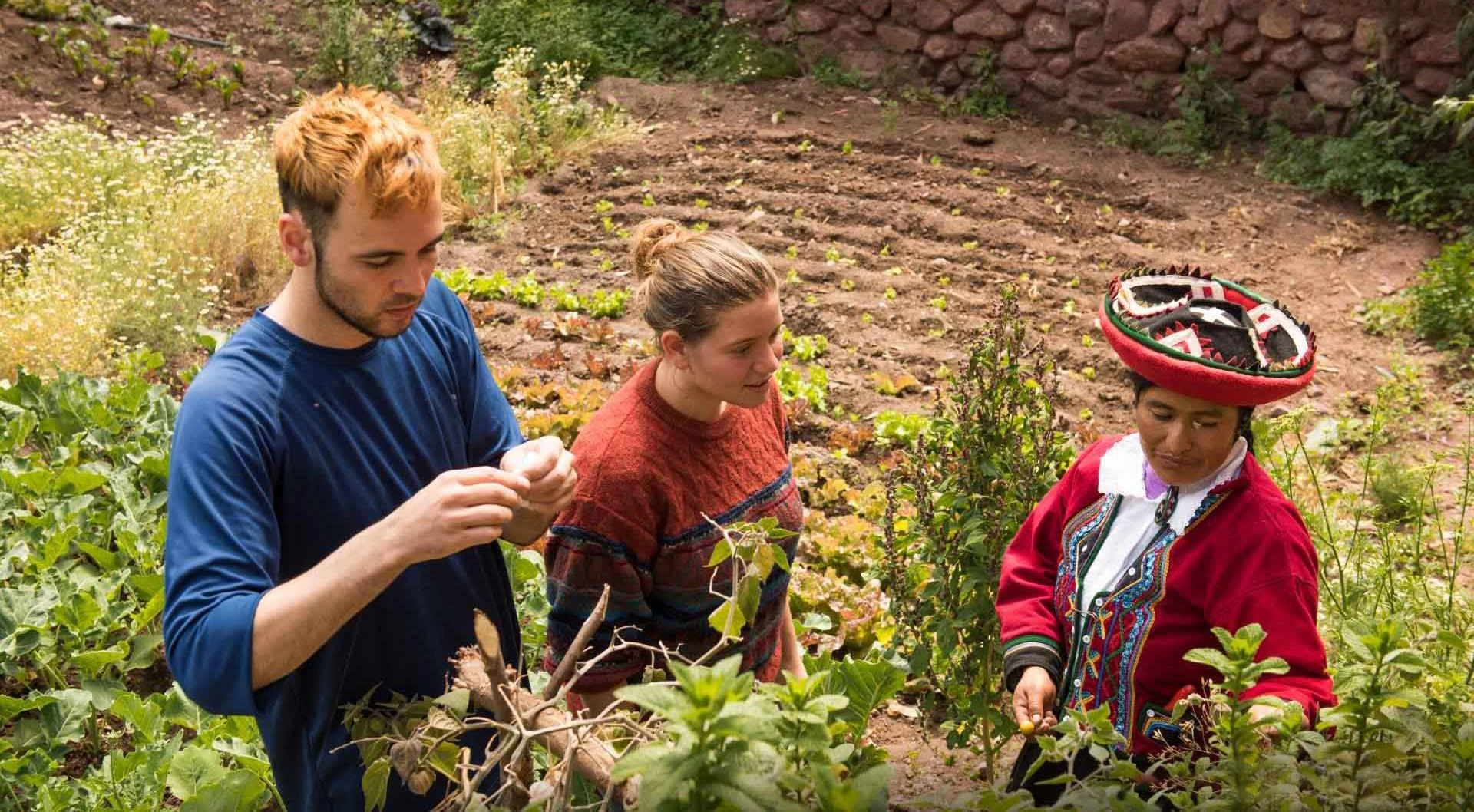 Community Tourism in the Sacred Valley: Authentic cultural experience in Peru