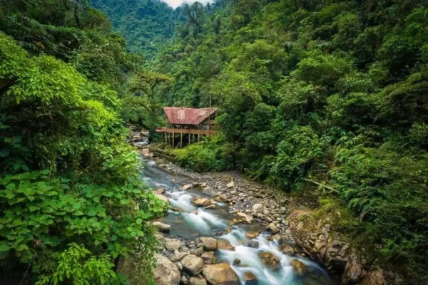 Amazon Photography Tips