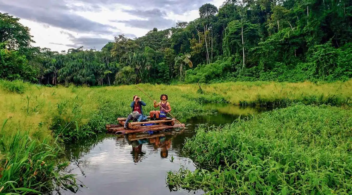 Flora and Fauna in Manu National Park Peru