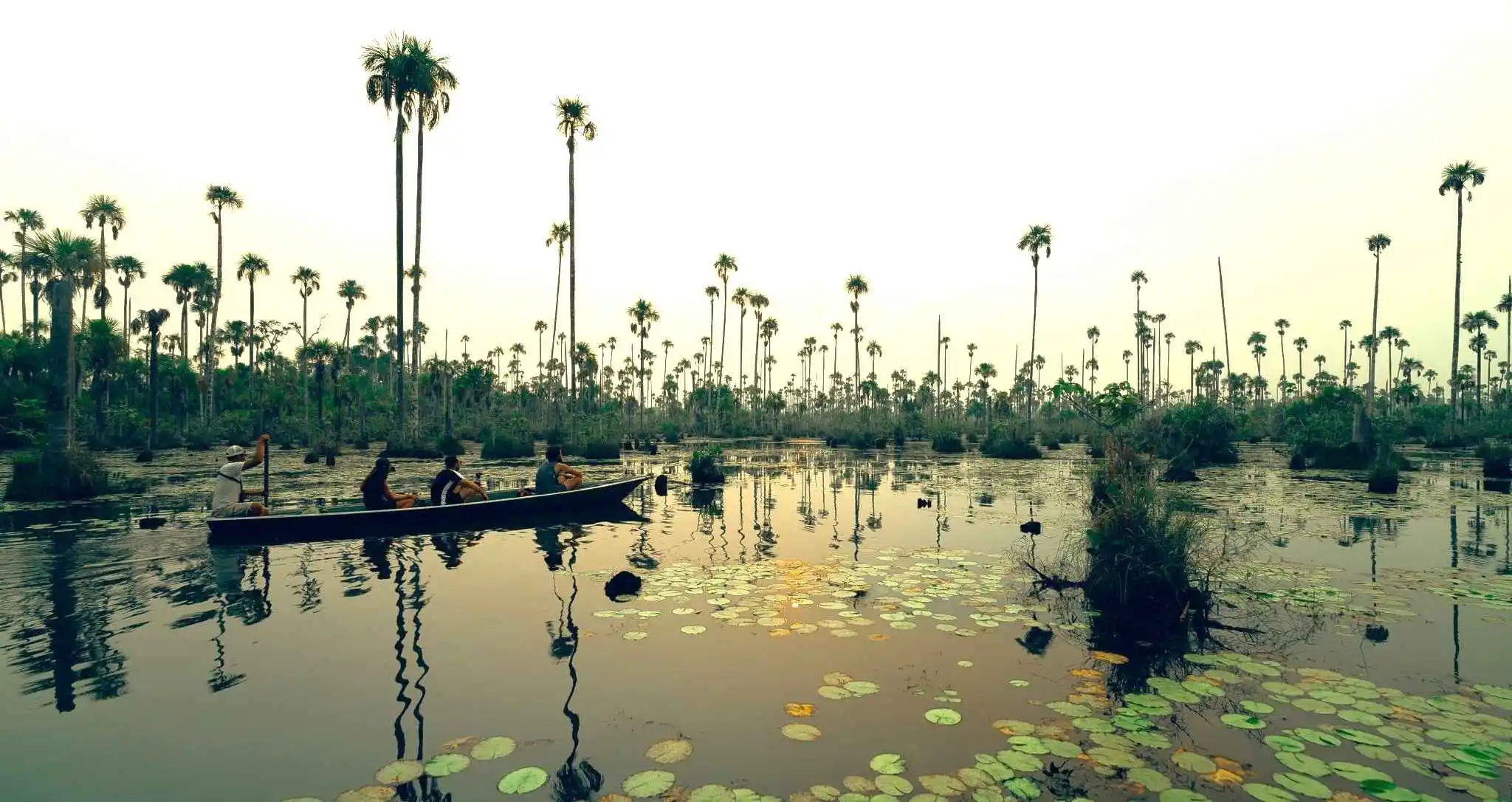 Best Time To Travel To Puerto Maldonado showing Amazon rainforest during dry and rainy seasons