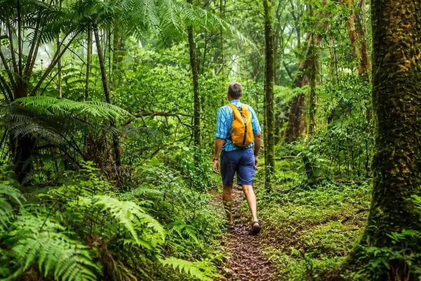 Manu National Park from Cusco – Ultimate Amazon Travel Guide
