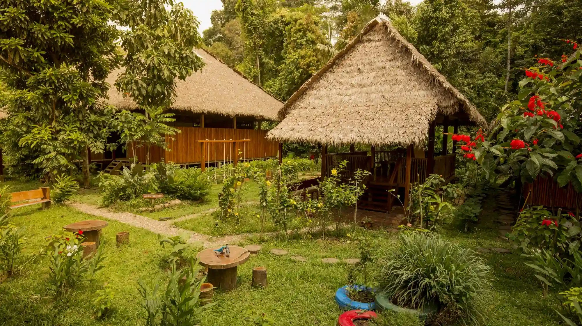 Amazon Jungle Lodge surrounded by lush rainforest and exotic wildlife in the Peruvian Amazon