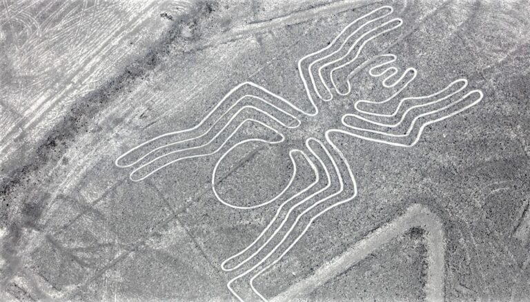 Nazca Lines & Ballestas islands 2 Days / 1 Night